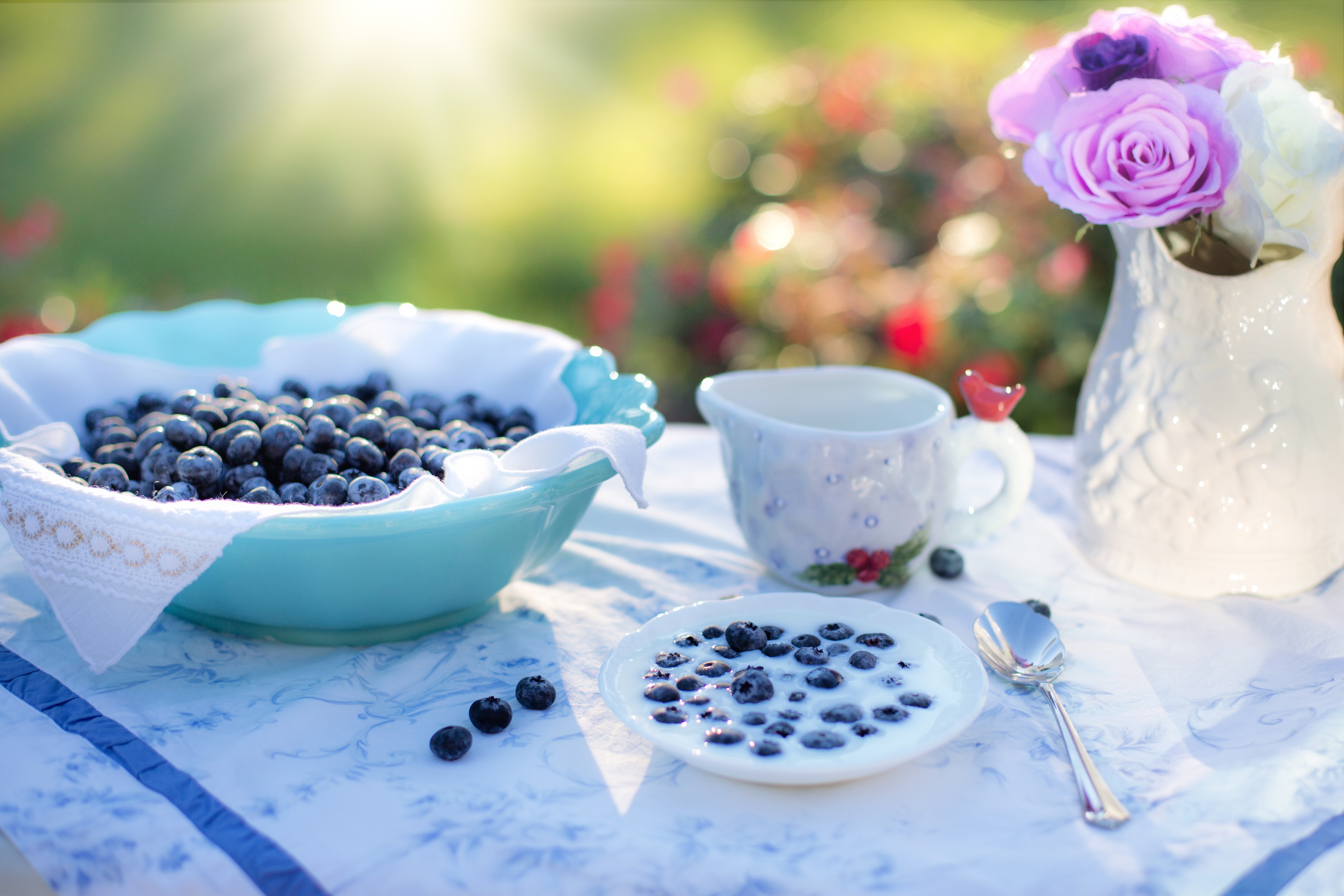 免费照片早餐吃蓝莓和牛奶