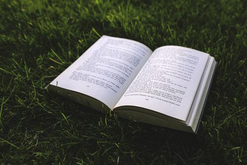 A book on green grass