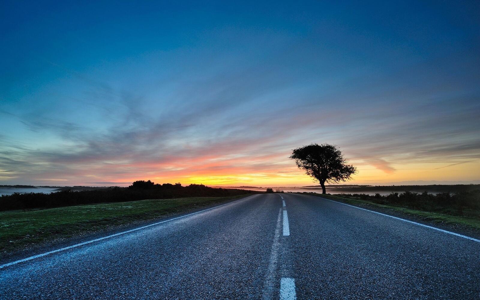 Free photo Picture of an evening landscape on a country road