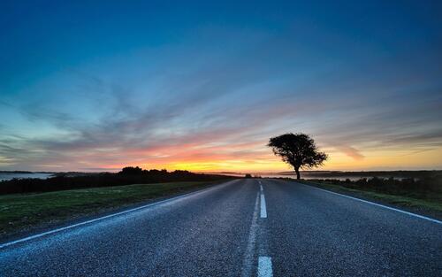 Picture of an evening landscape on a country road