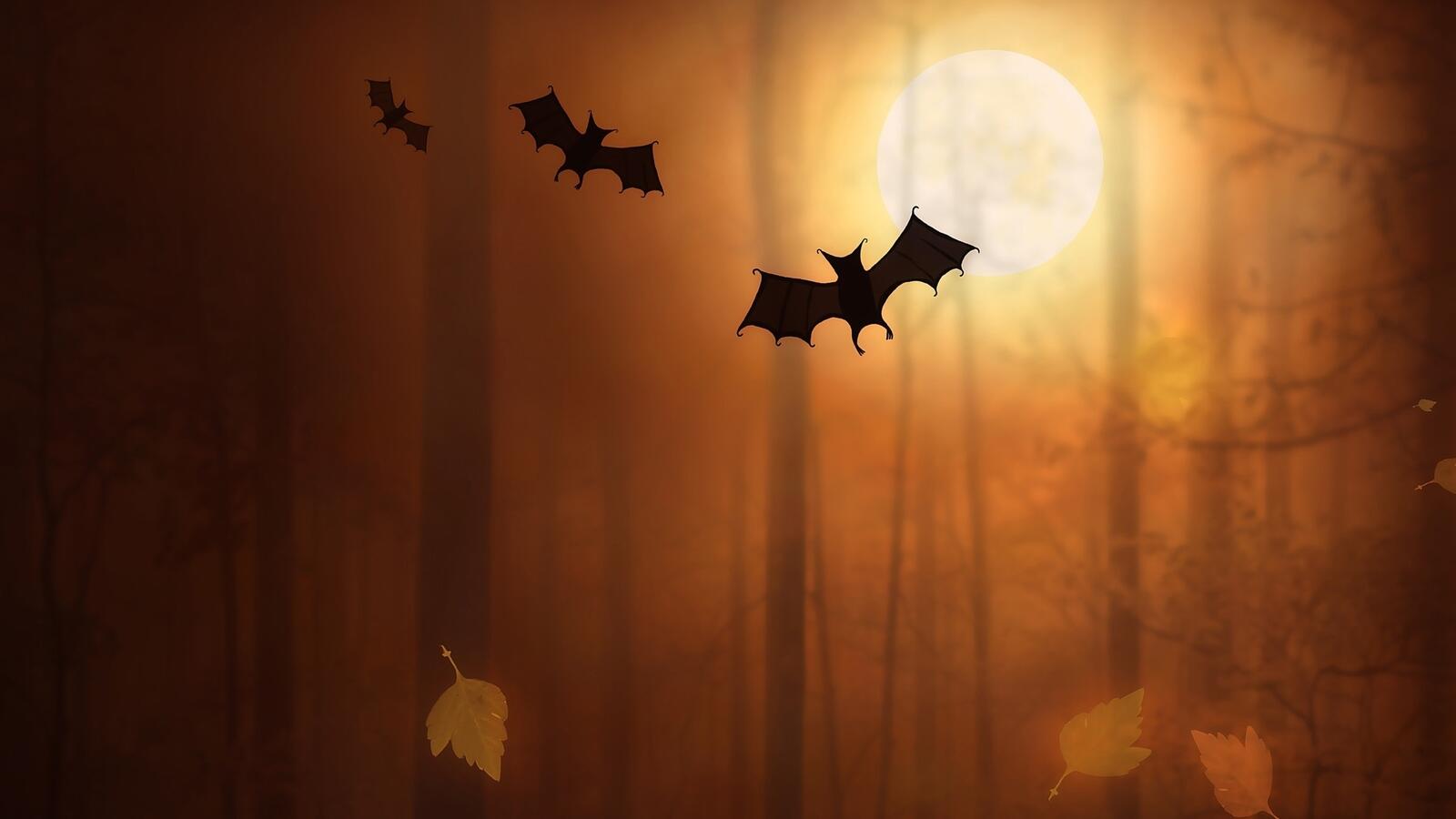 Free photo Bats in the foggy forest
