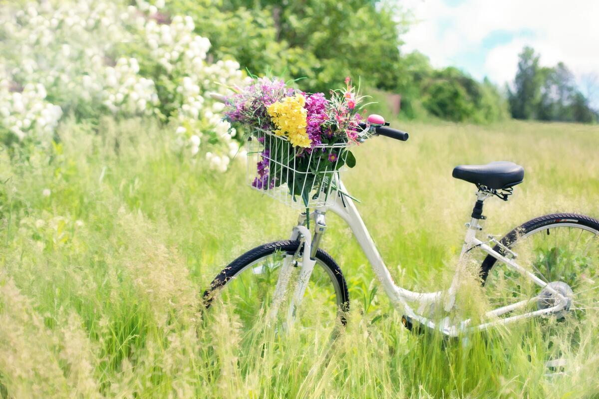 A bicycle with wildflowers
