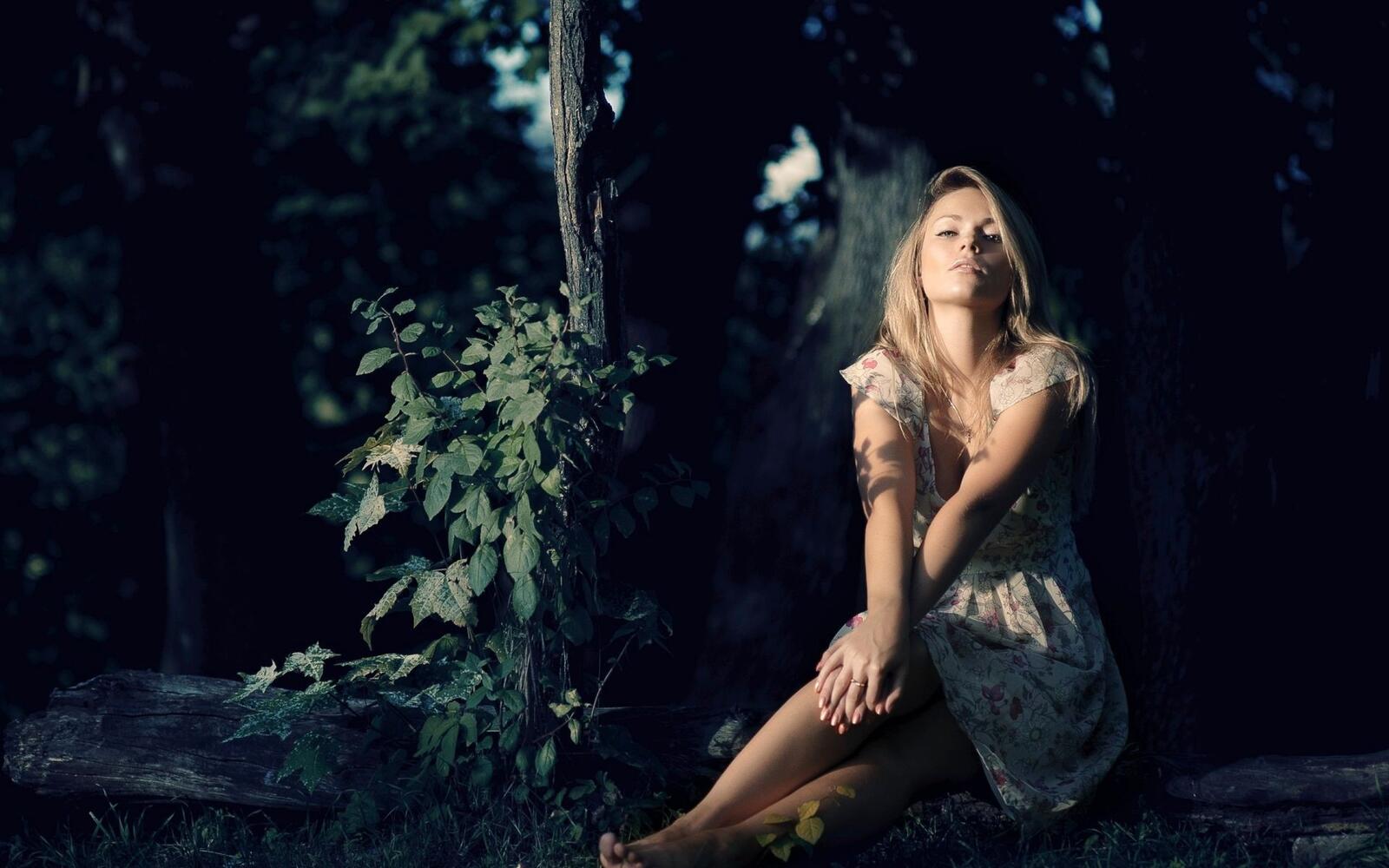 Бесплатное фото Девушка в легком платье сидит на фоне леса