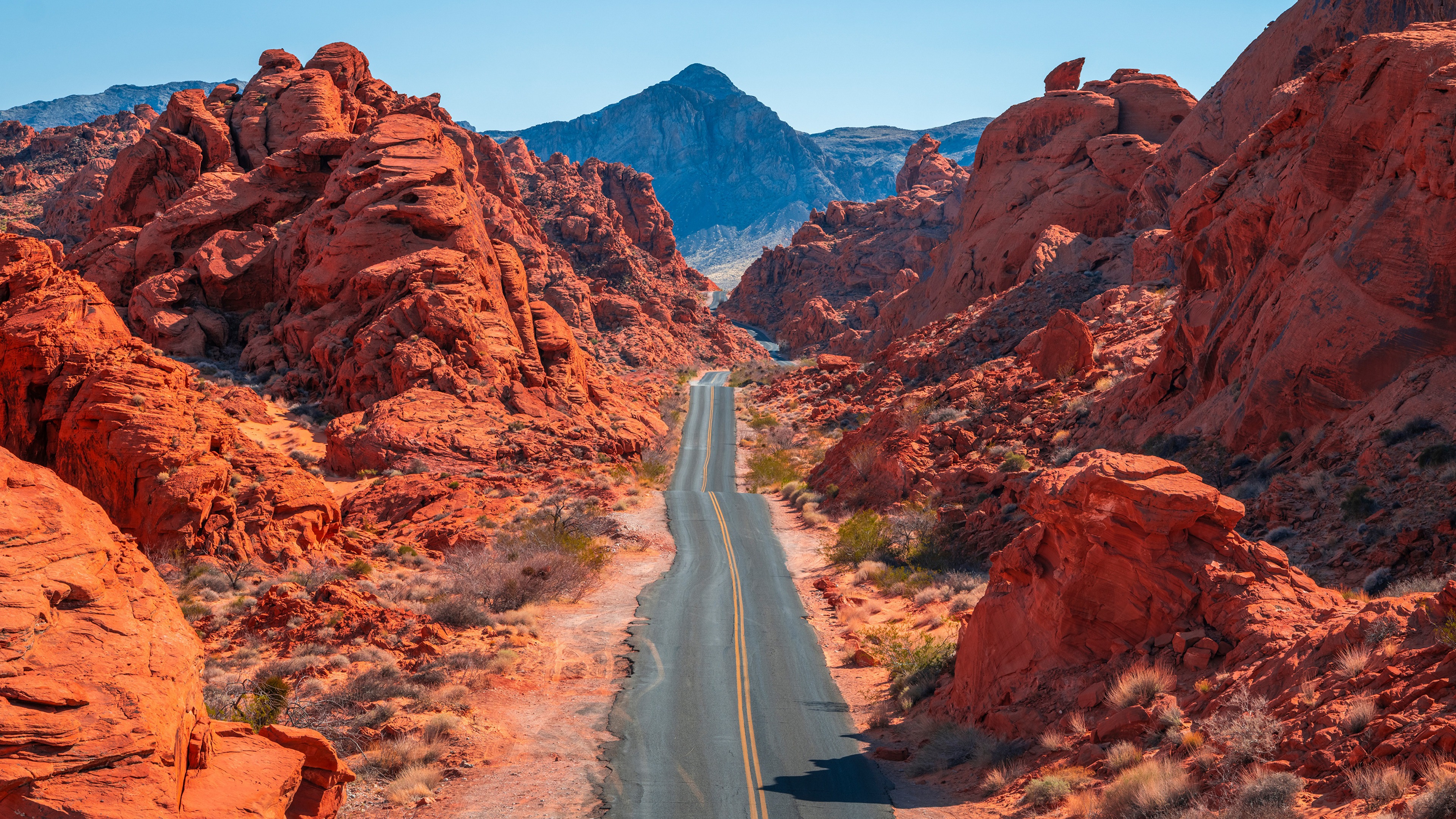 Бесплатное фото Асфальтированная дорога в горах США