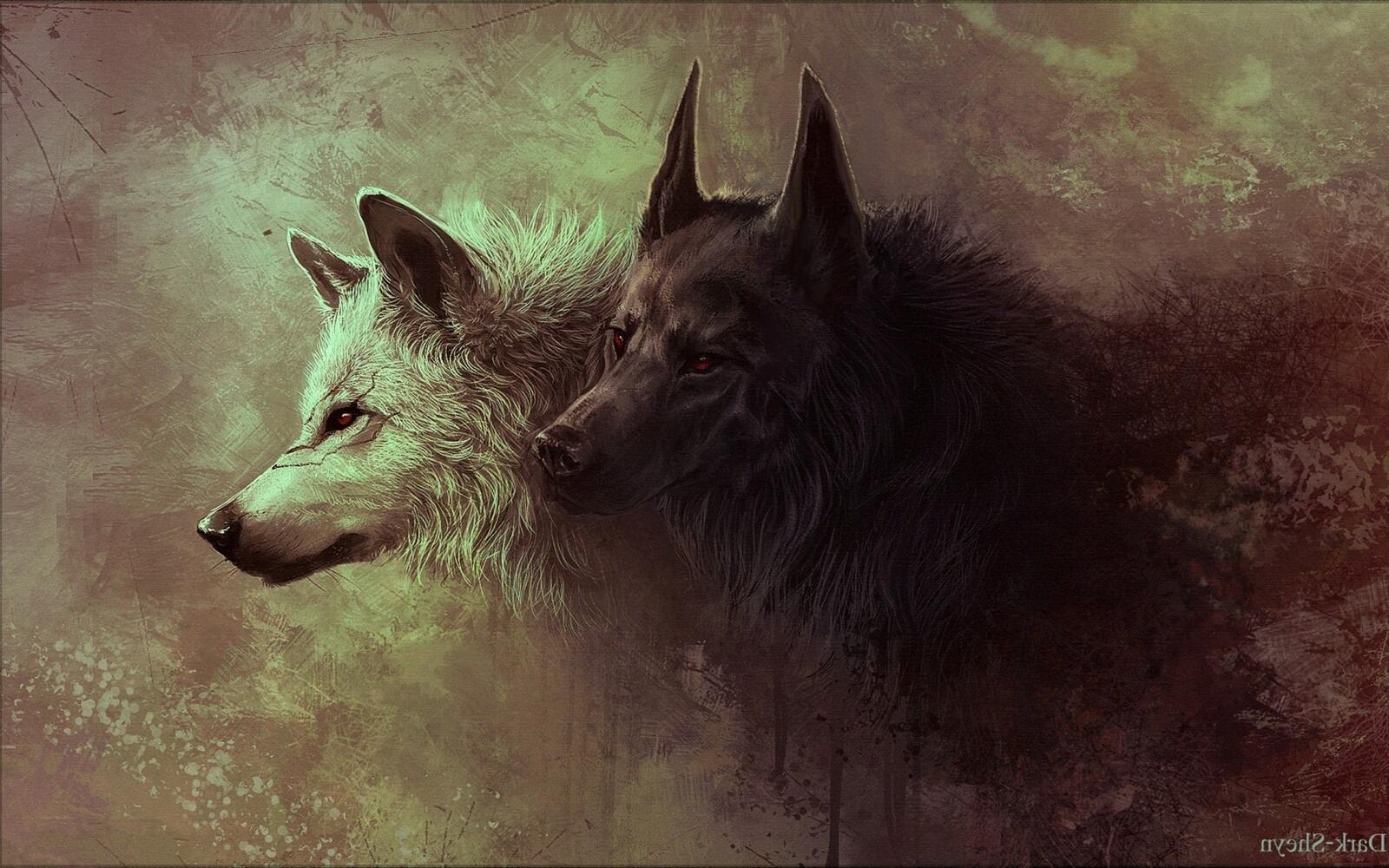 Free photo Rendered drawing of two wolves in white and black