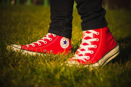 Red sneakers on a green lawn