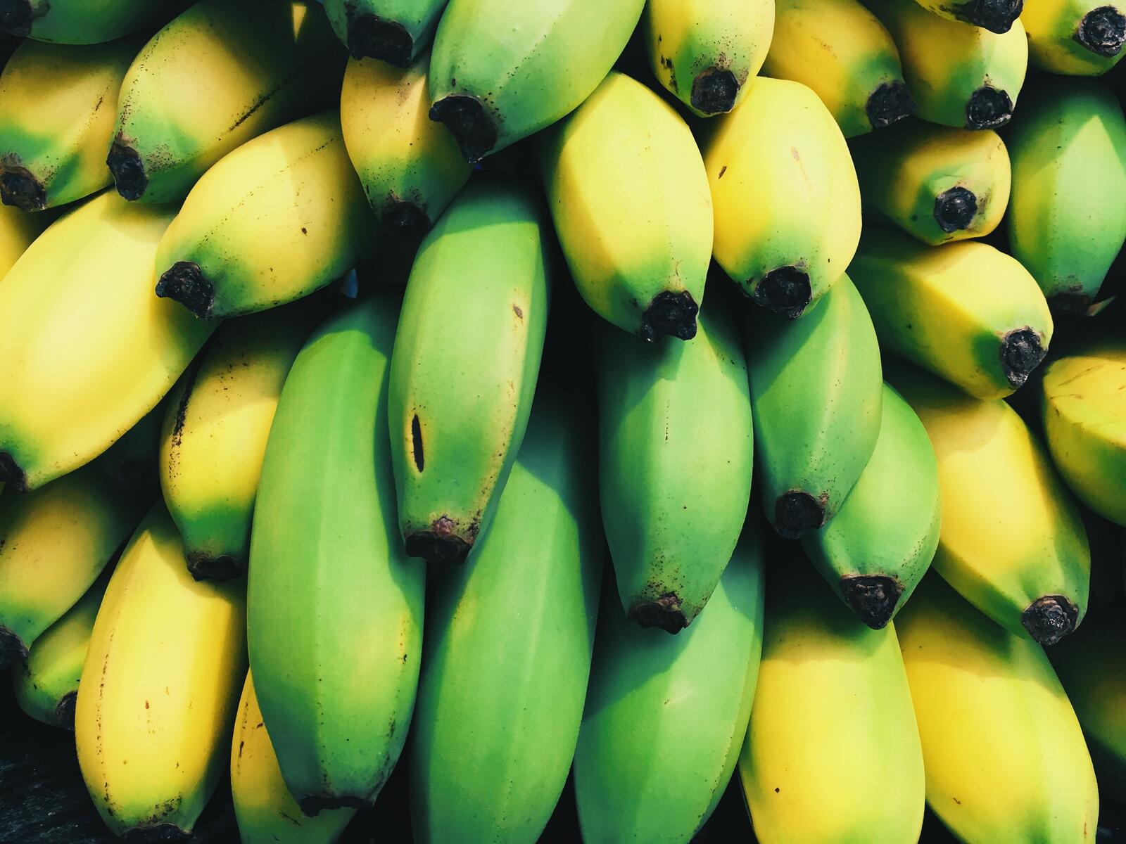 Бесплатное фото Большая куча зеленых бананов