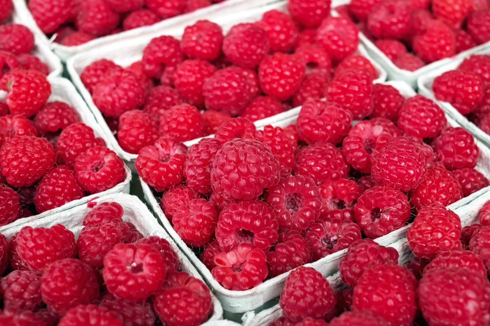 Free photo Red ripe raspberries