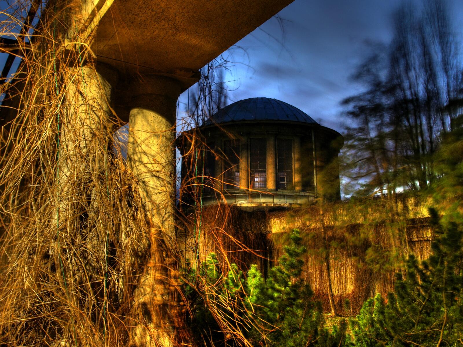 Бесплатное фото Заброшенный дом заросший травой