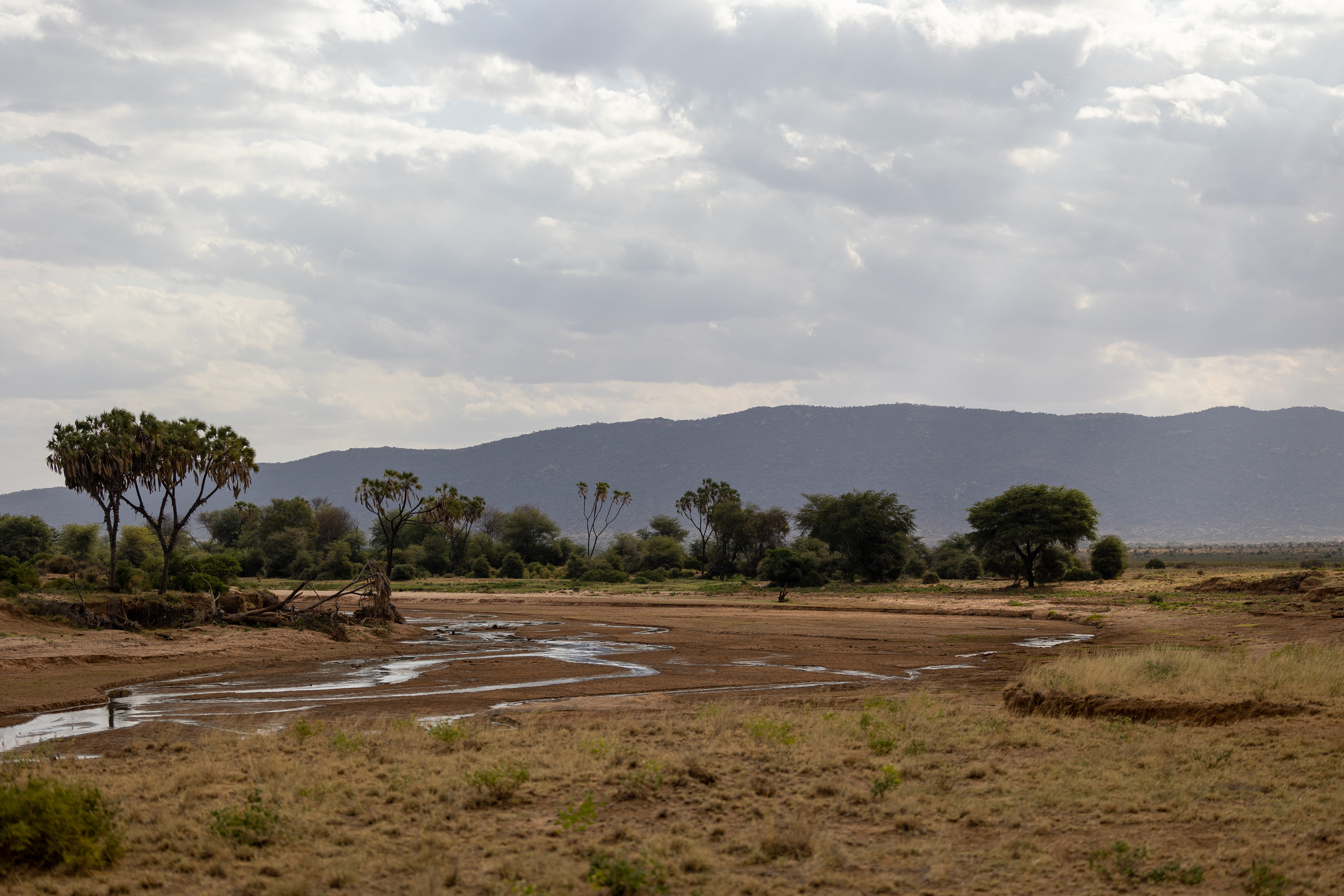 Природа Африки с высохшей рекой в жаркий период