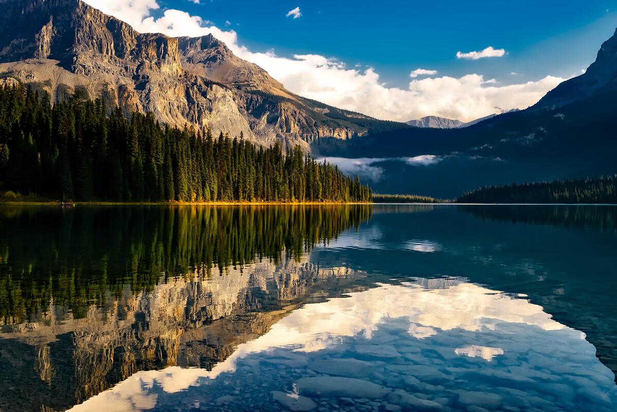 Красивое озеро в горах с елками на берегу