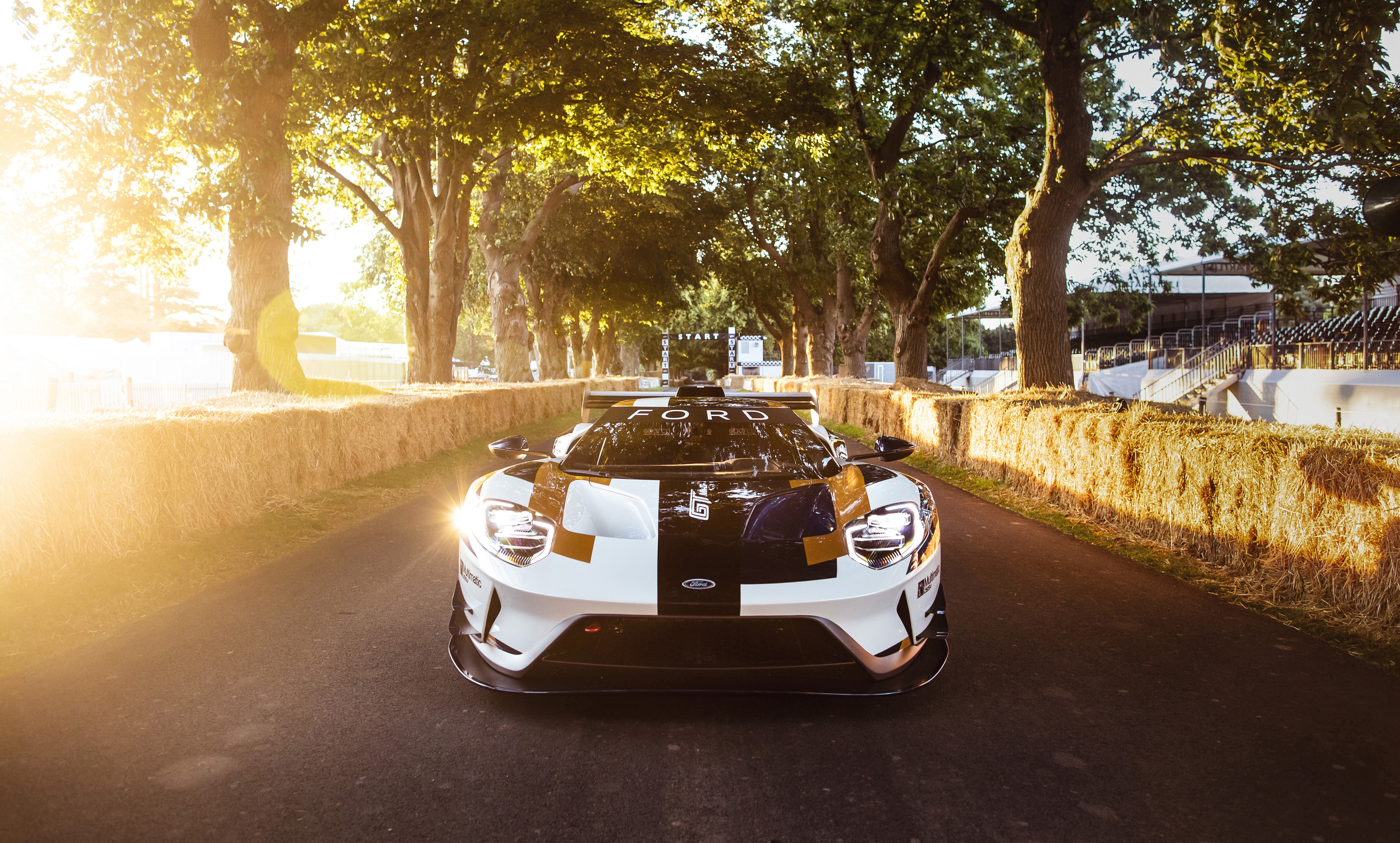 Free photo A ford gt mk ii race car stands on a road surrounded by trees