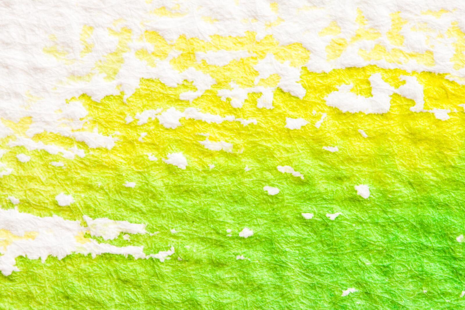 Wallpapers grass sun light texture on the desktop