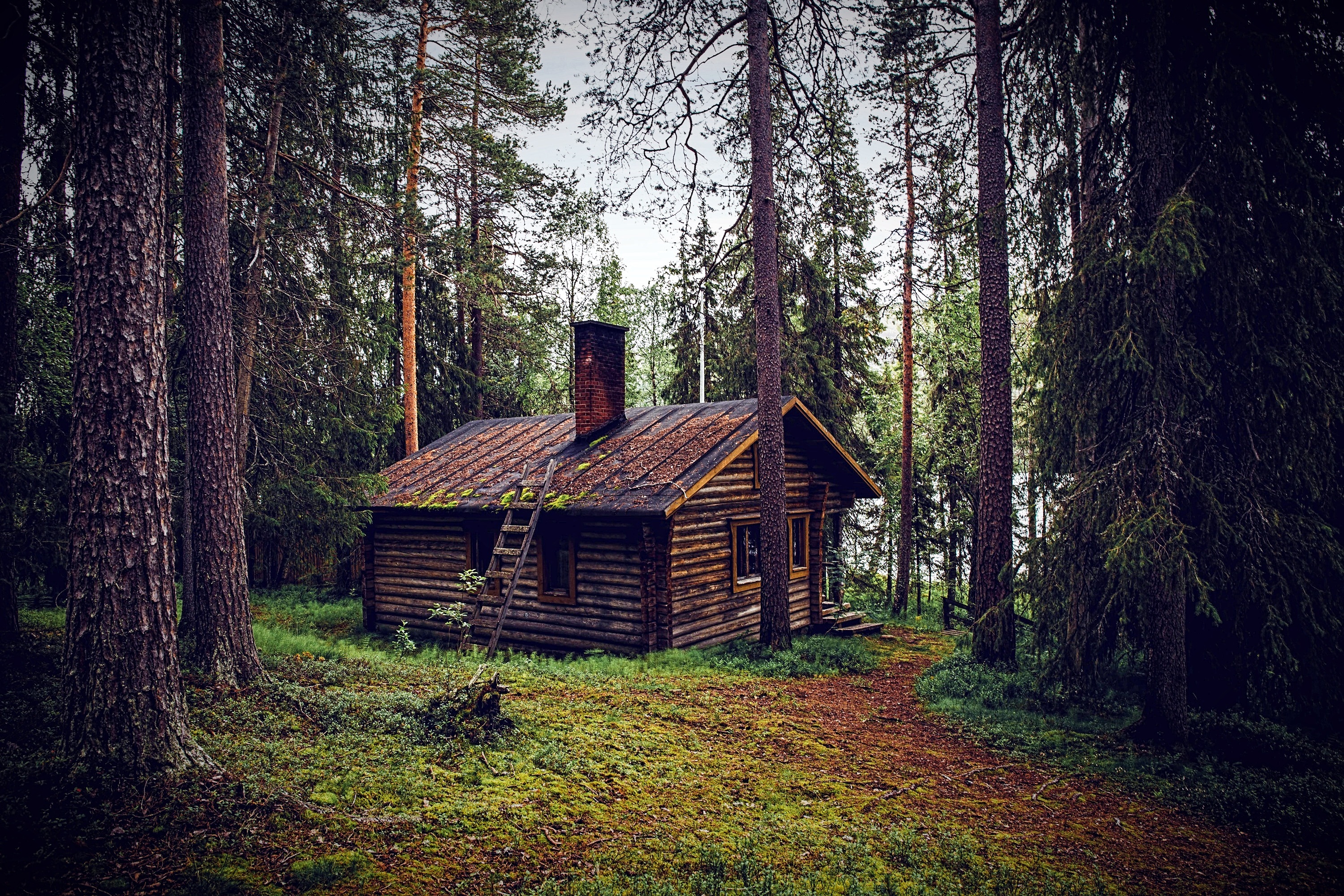 A wooden cabin in the woods