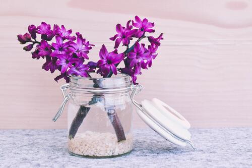 Wallpaper with purple flowers in a clear jar