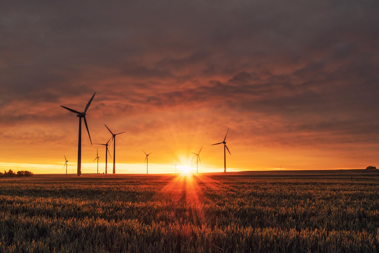 Бесплатное фото Энергетические ветряные мельницы на закате