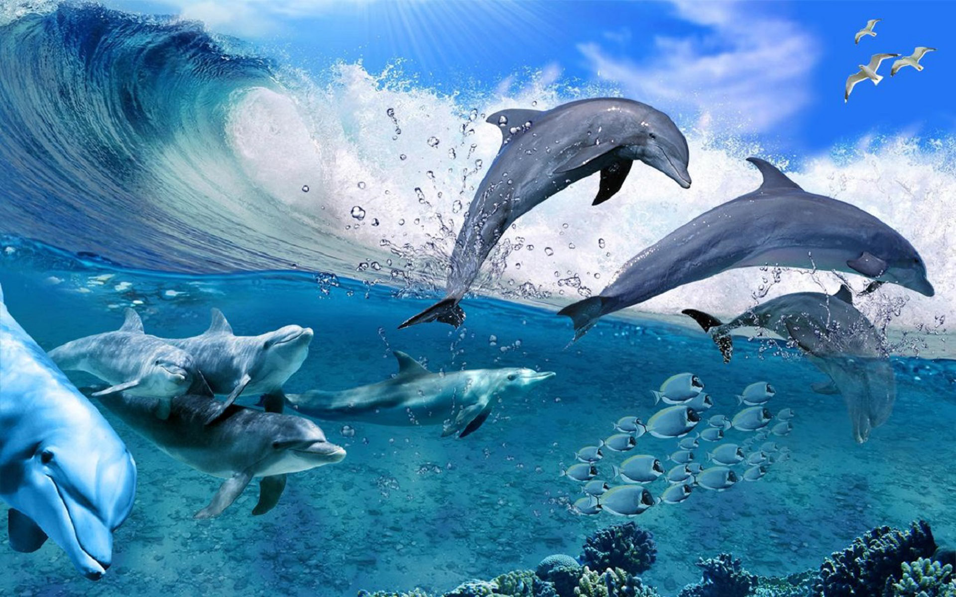 A pack of dolphins in the sea