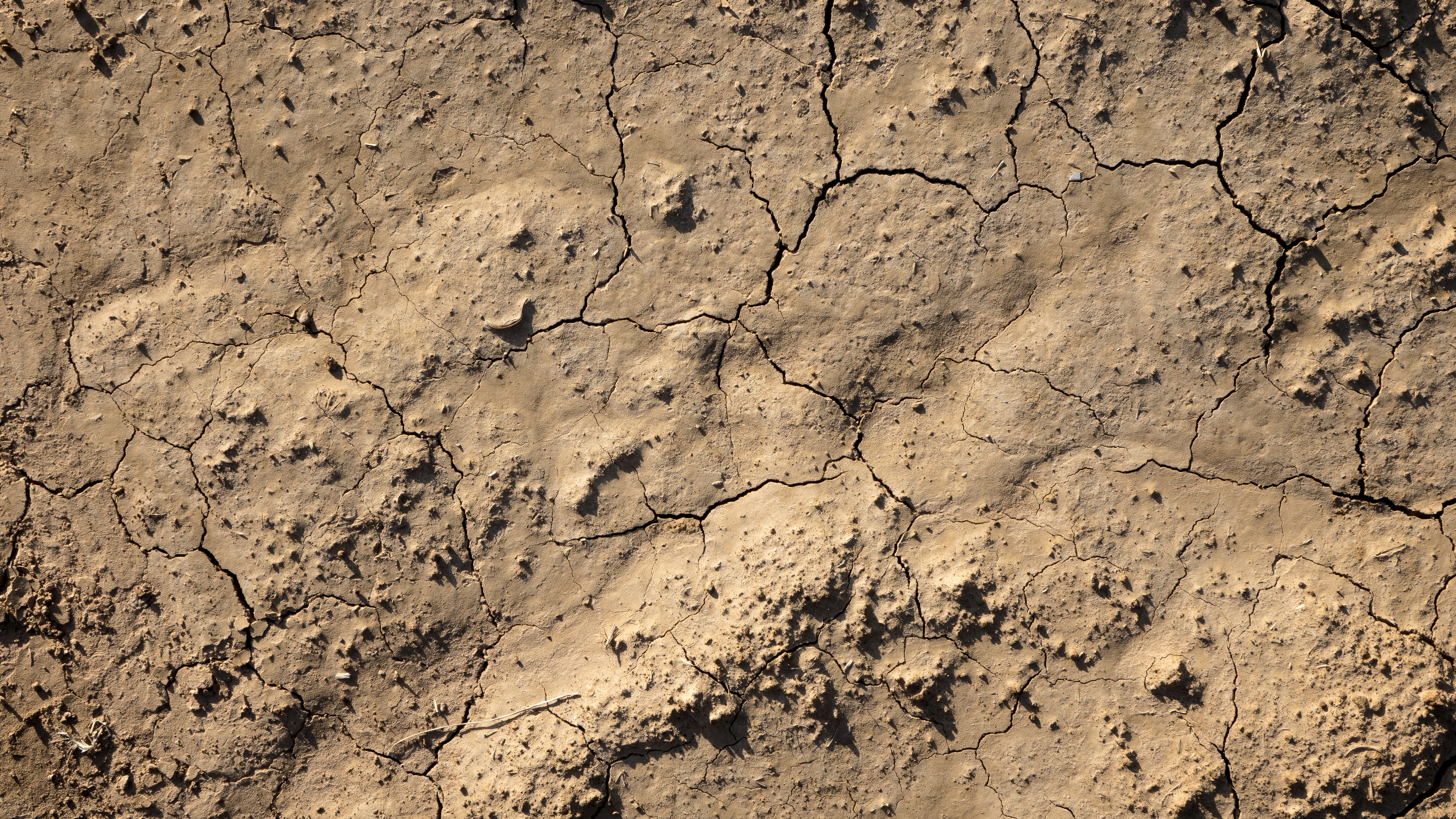干旱后龟裂的土壤