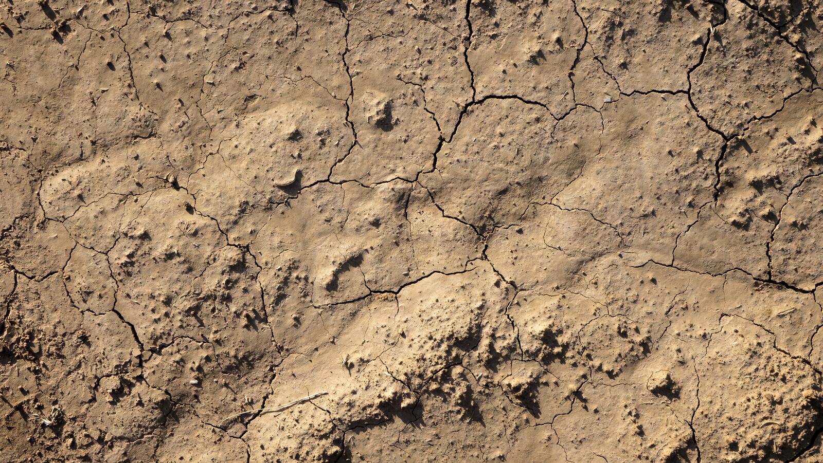 Бесплатное фото Растрескавшаяся почва после засухи