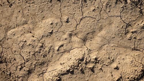 Растрескавшаяся почва после засухи