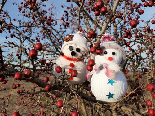 Два снеговика в ветвях яблони