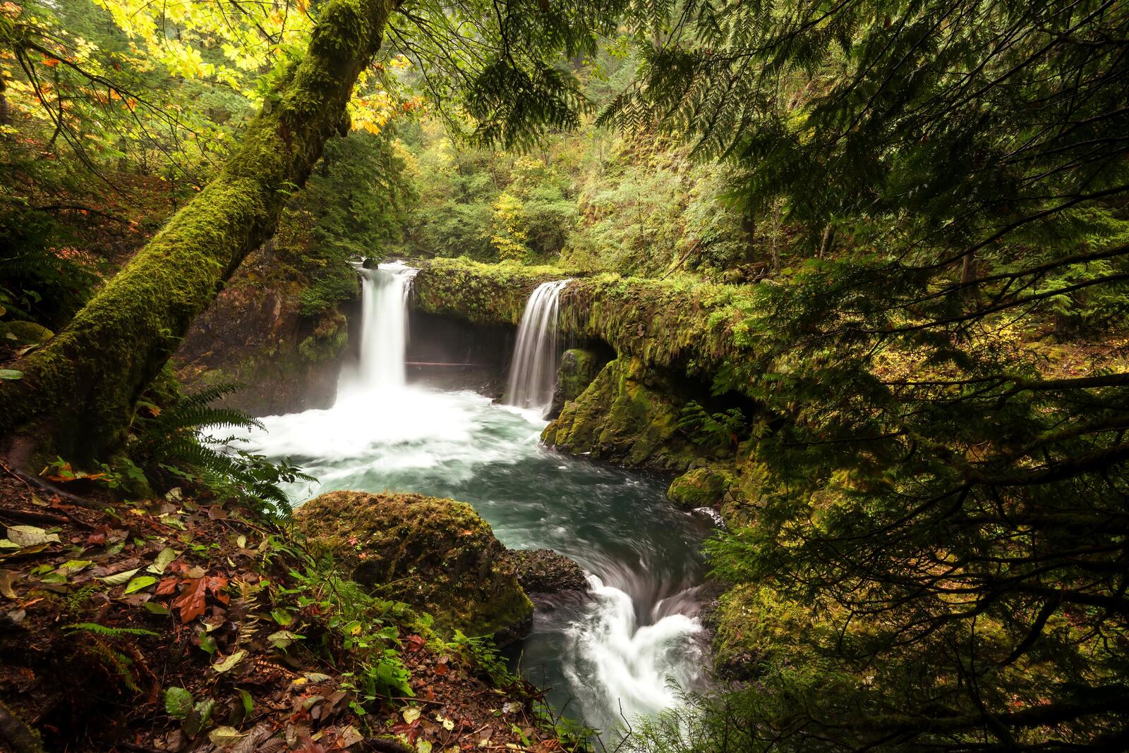 Бесплатное фото Лесной водопад далеко от людей