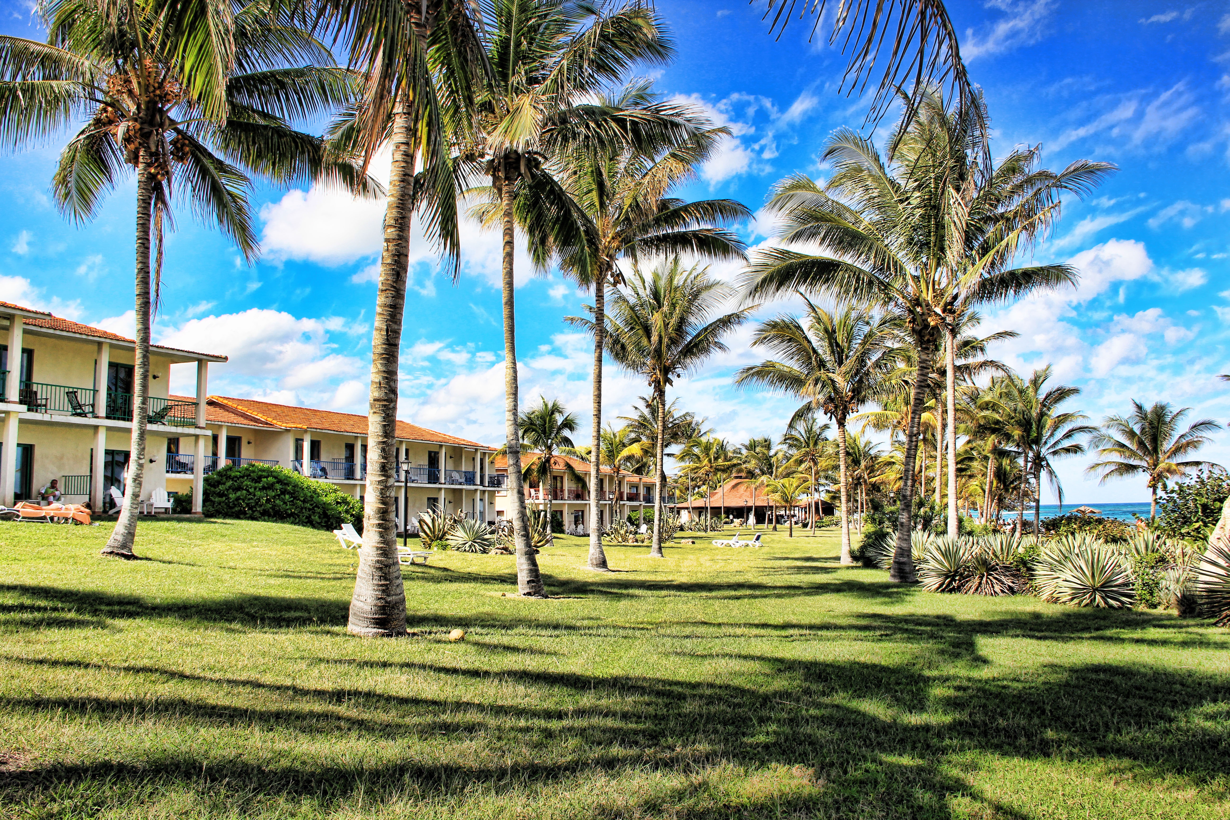 Фото пляж, дерево, небо, газон, аллея, отпуск, праздник, туризм, куб, отель, курорт, плантация, недвижимости, карибский бассейн, пальмовые деревья - бесплатные картинки на Fonwall