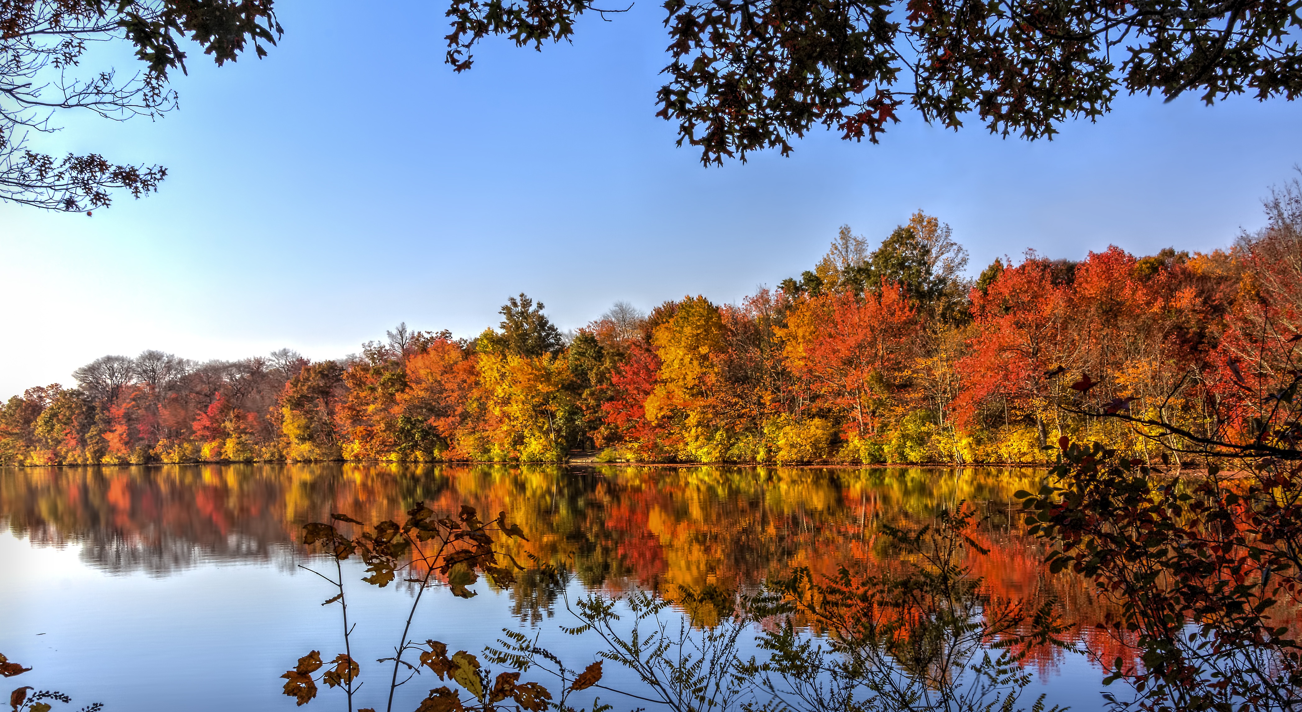 免费照片海边色彩斑斓的秋树