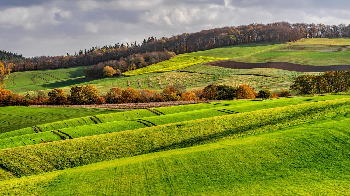 Красивые зеленые пастбища в Германии