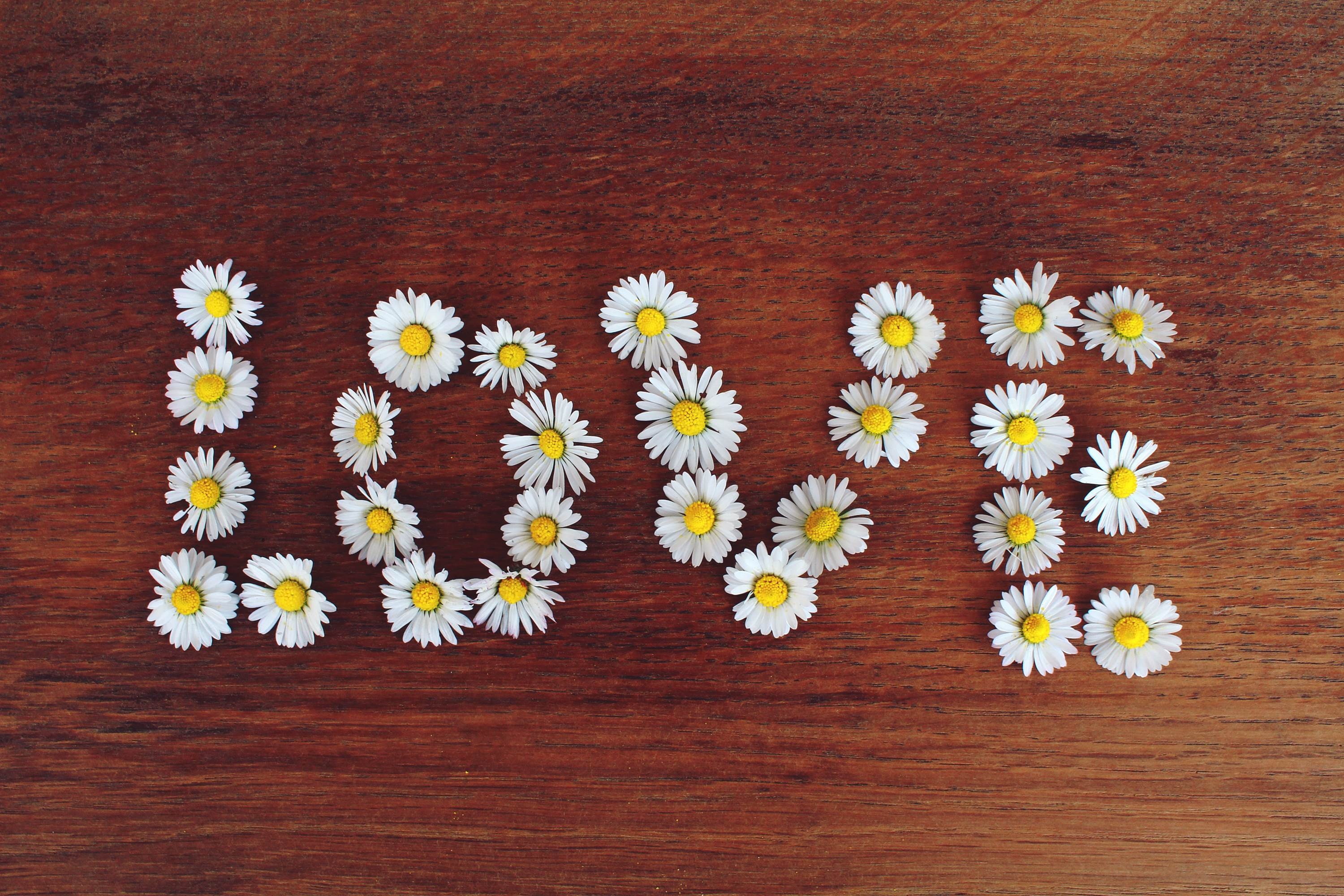 Free photo The word love made of daisies