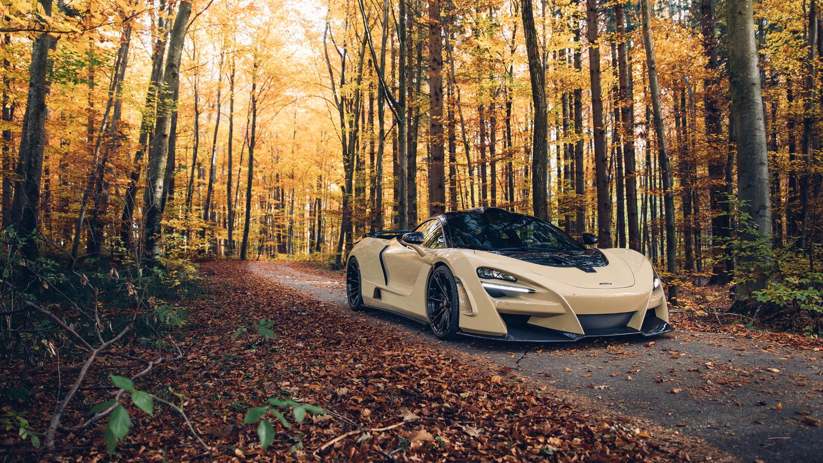 Free photo Beige mclaren 720s n-largo in an autumn forest during a leaf fall