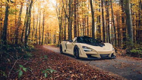 Beige mclaren 720s n-largo in an autumn forest during a leaf fall