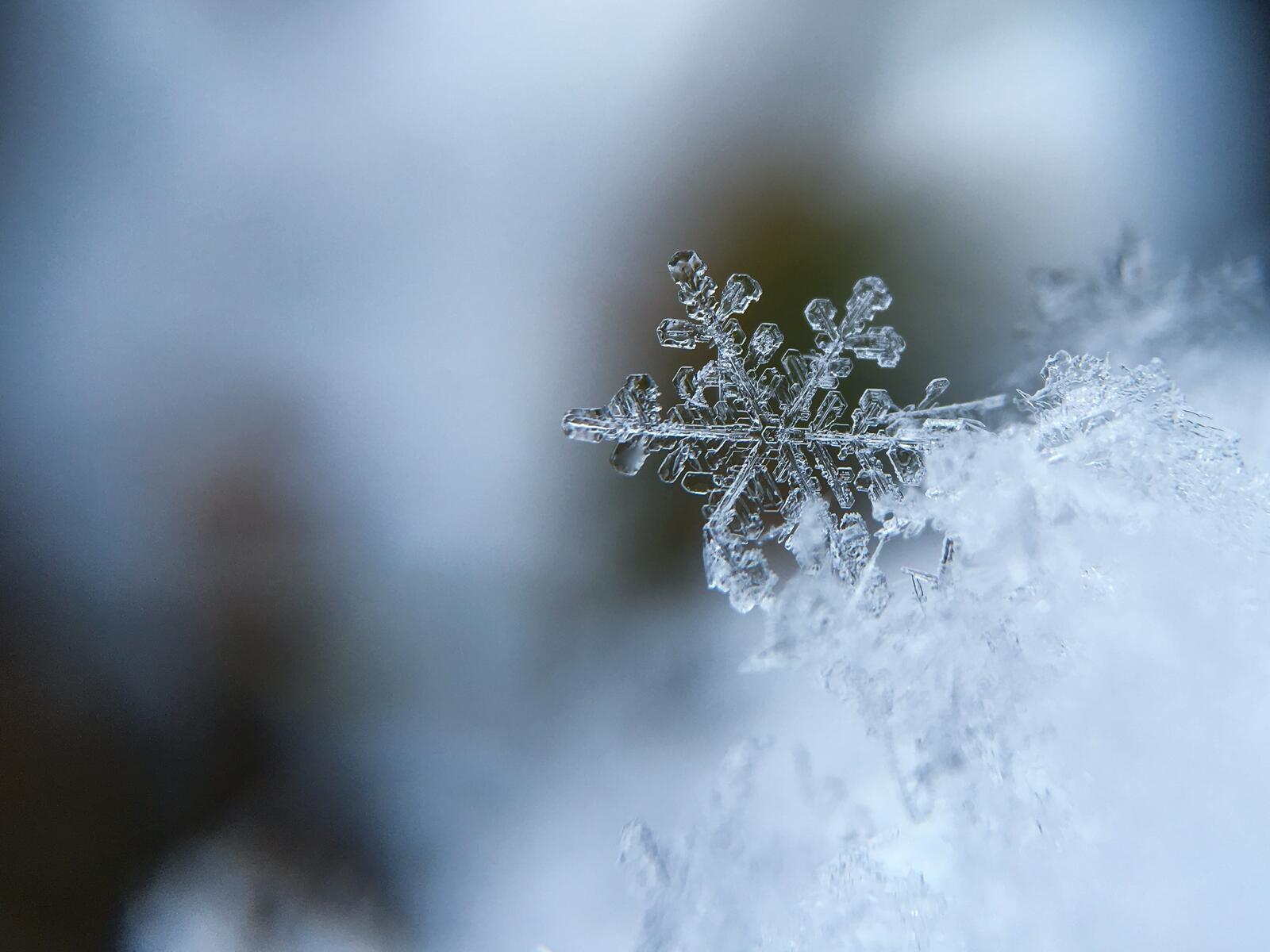 Бесплатное фото Маленькие снежинки на снегу