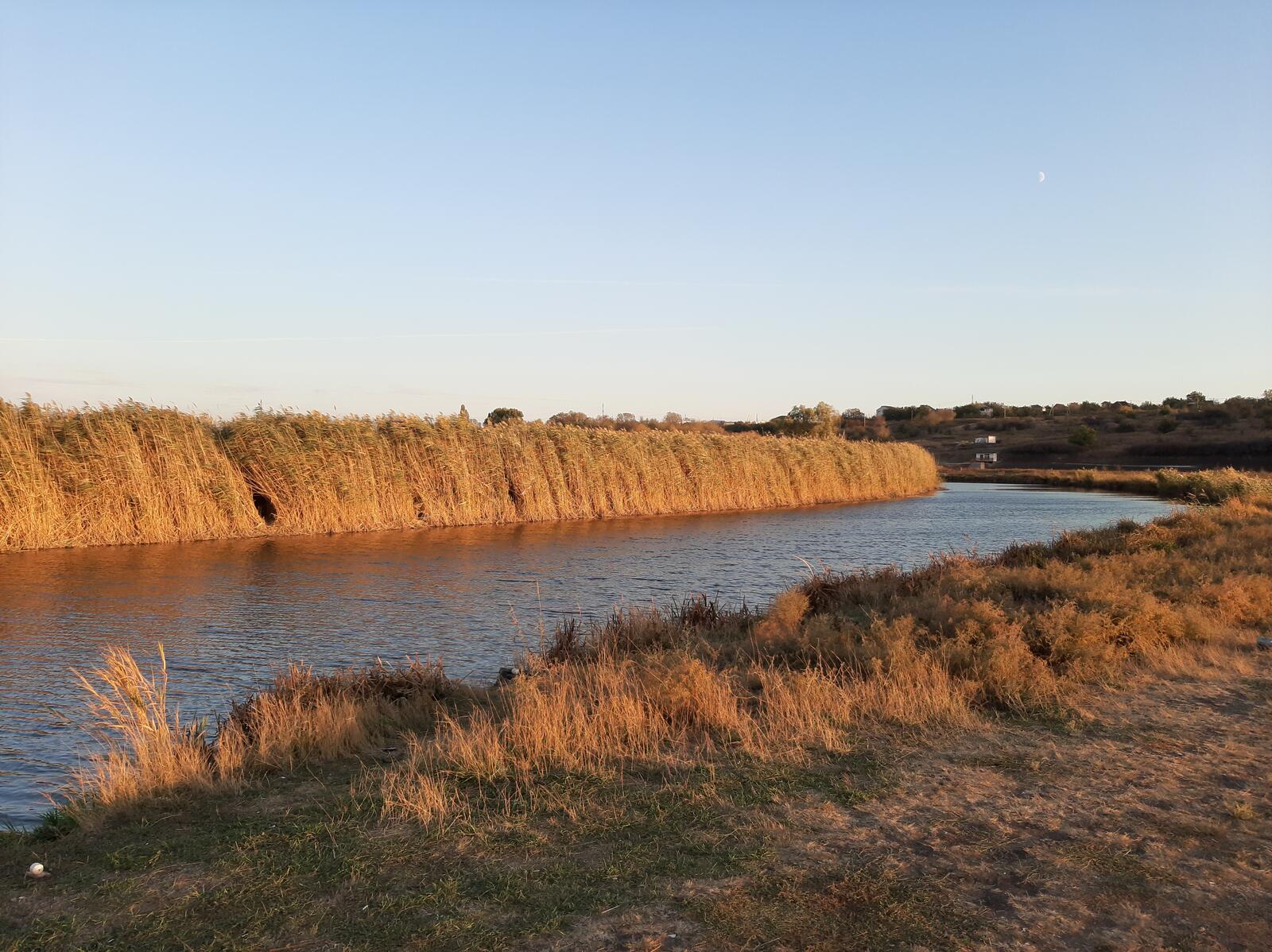 Бесплатное фото Закат на реке с камышом