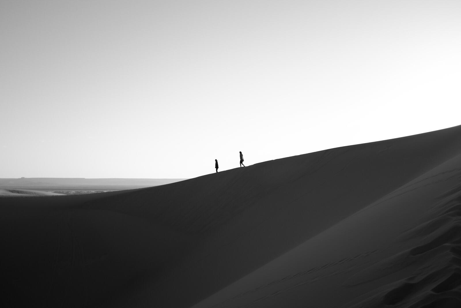 Wallpapers sand horizon silhouette on the desktop