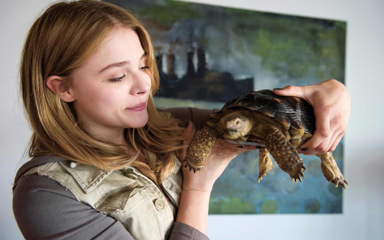 Бесплатное фото Хлоя Морец демонстрирует свою большую черепаху
