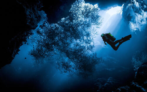 Diver swimming in the depths of the ocean