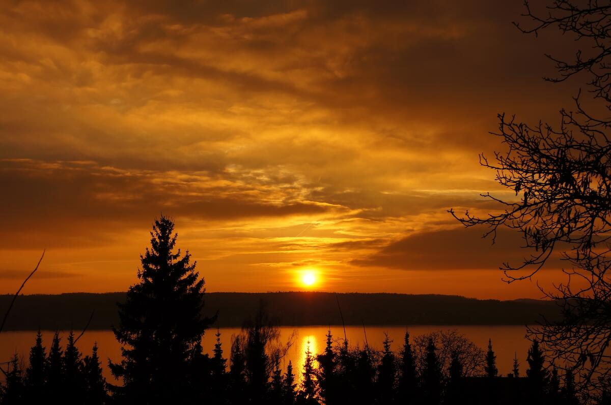 Боденское озеро на закате
