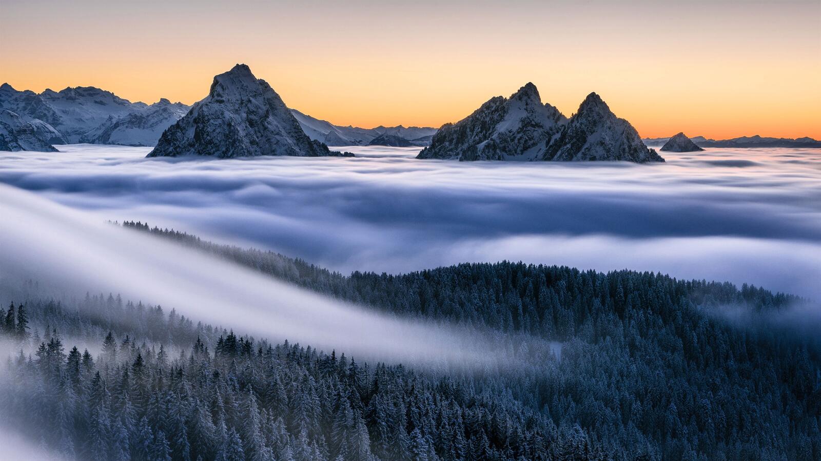 Free photo The peaks of the year above the fog
