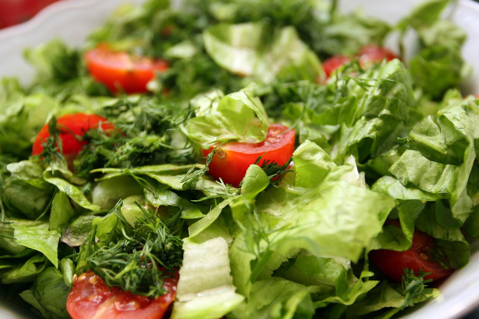 Free photo Delicious salad with greens and tomatoes
