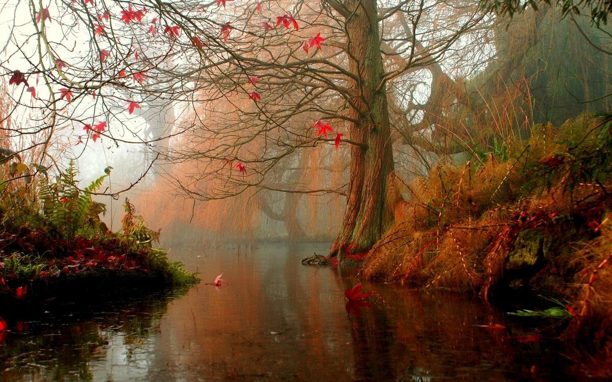 Autumn mood on the river
