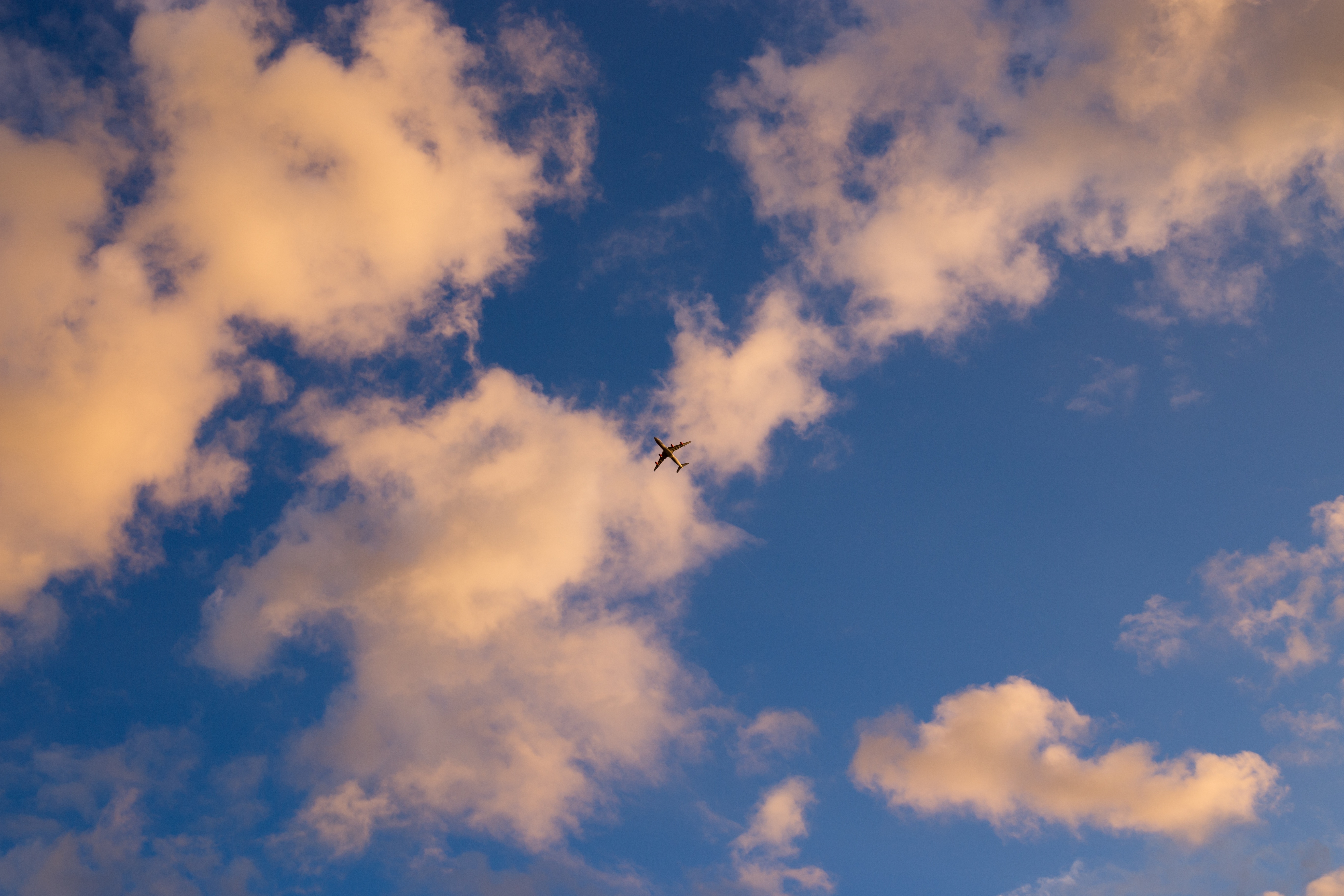 Боинг летящий в облаках · бесплатная фотография
