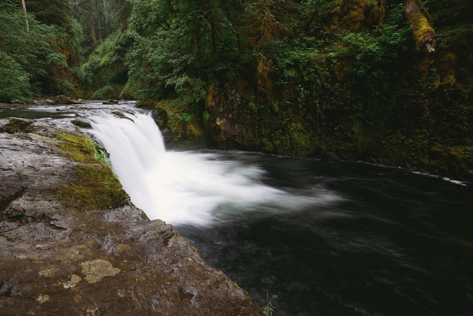 Бесплатное фото Низкий водопад в лесу