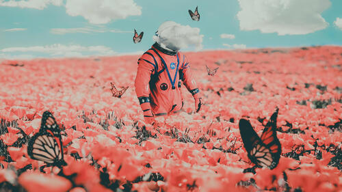 Космонавт на поле с розовыми цветами и бабочками