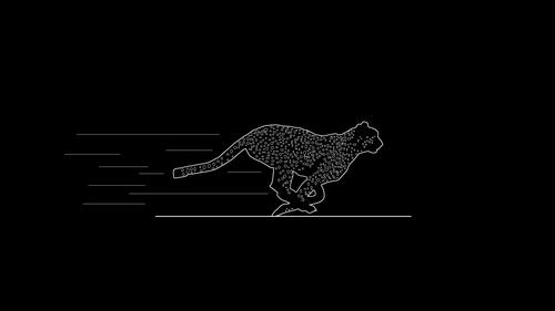 Силуэт бегущего ягуара на черном фоне