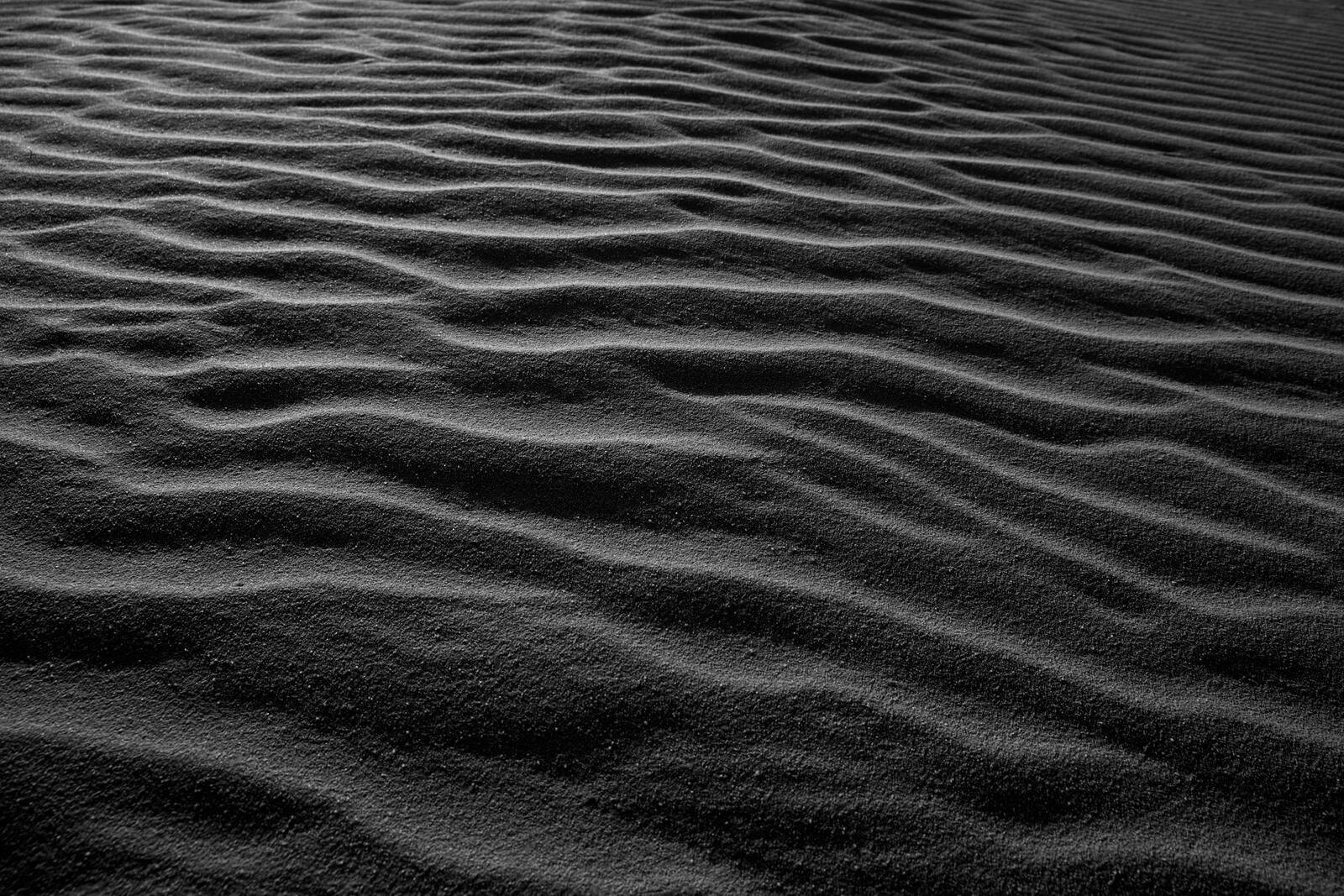 Бесплатное фото Морское песчаное дно на монохромном фото