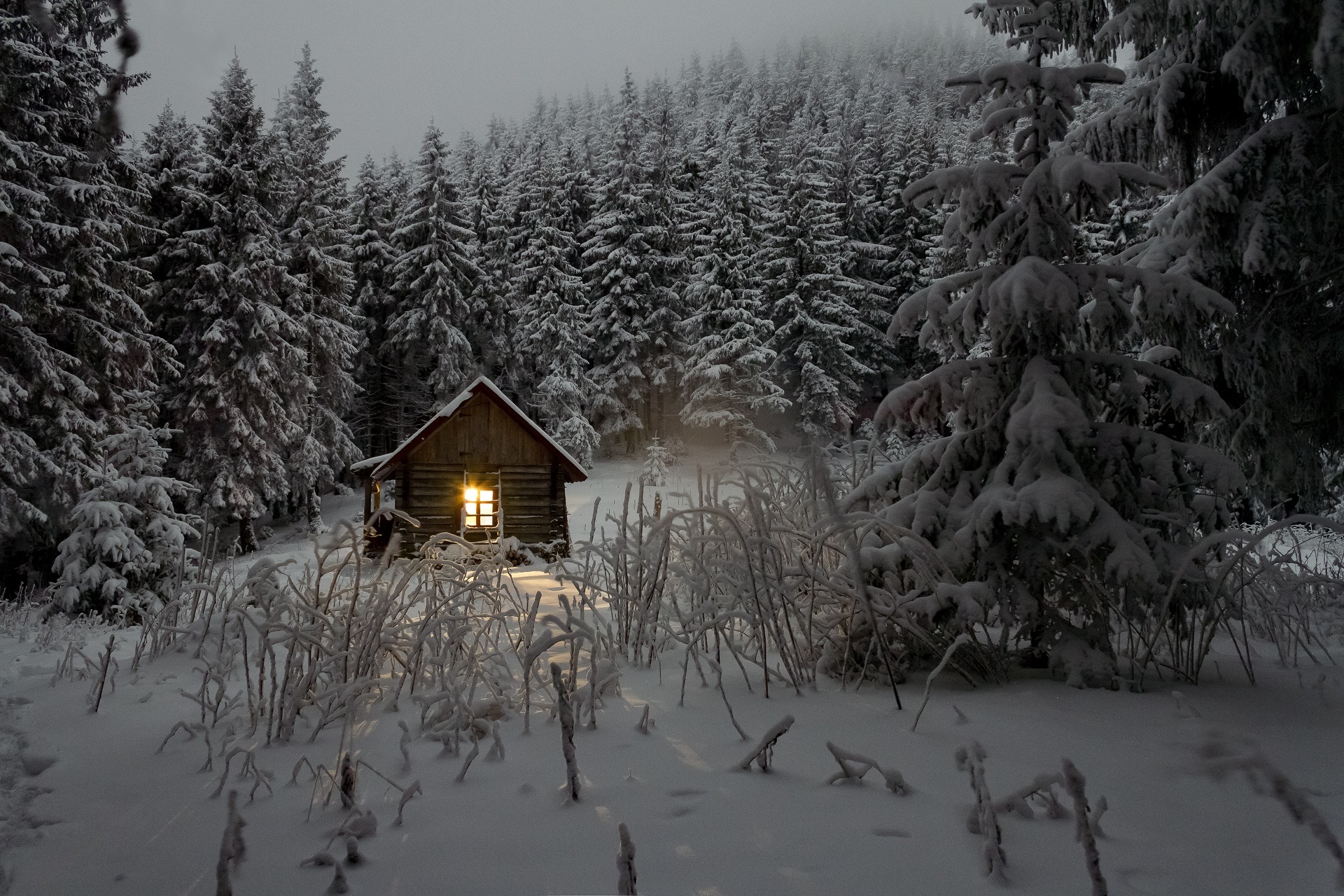 冬天的森林中，被白雪覆盖的冷杉树包围的孤独小屋