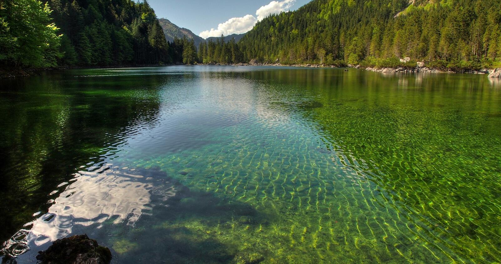 Обои обои австрия озеро лес на рабочий стол