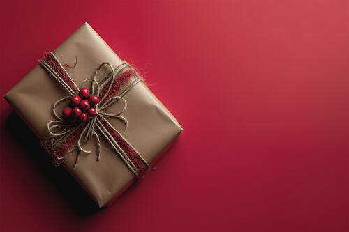 A wrapped gift on a pink background