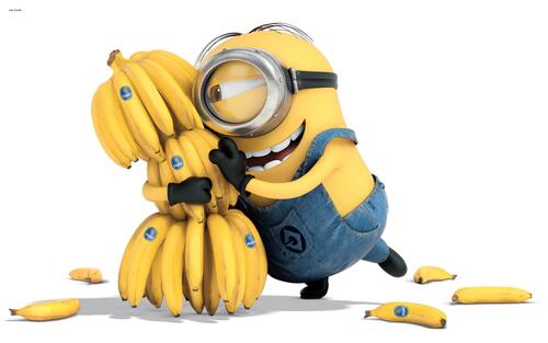 Funny picture of a minion in love with bananas.